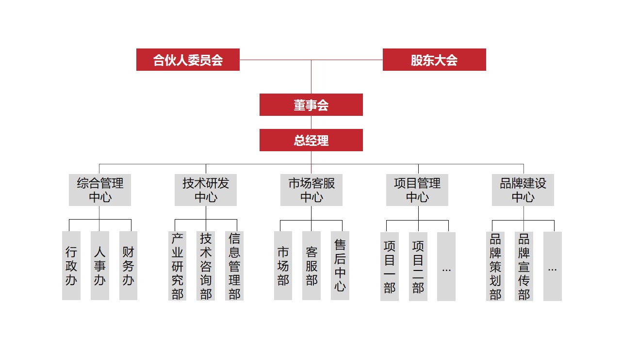 专家团队
